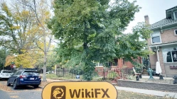 Visita a Goldmans Global  en los Estados Unidos - No se encontró oficina