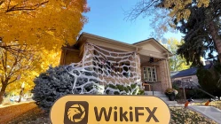  Kunjungan ke TSC FX GROUP di Amerika Serikat - Tidak Ditemukan Kantor