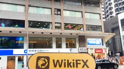 Một chuyến thăm đến Rui Da tại Hồng Kông - Tìm thấy Văn phòng