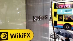 中国香港实地探访外汇交易商BeeVest Securities  不存在真实展业场所