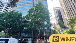 Một chuyến thăm đến Sky Alliance Markets tại Úc - Không tìm thấy văn phòng