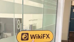 Một Chuyến Thăm đến OnePro ở New Zealand - Không Tìm Thấy Văn Phòng