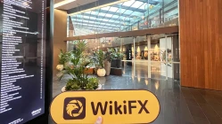 Một chuyến thăm NXG Markets tại Úc - Không tìm thấy văn phòng