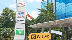 Una visita a Trive Invest en Indonesia - Oficina Encontrada