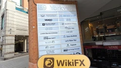 カナダのYORK FXを訪問 - オフィス発見