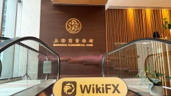 中国香港实地探访外汇交易商Donghai  存在真实展业场所