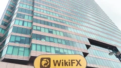 A Visit to GOING INTERNATIONAL in Hong Kong – No Office Found