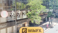 Ein Besuch bei BistVizyon in Hongkong – Kein Büro gefunden