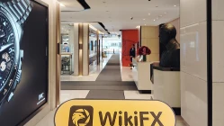 Ein Besuch bei BistVizyon in Hongkong – Kein Büro gefunden