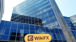 हांगकांग में Shacom की यात्रा - कार्यालय मिल गया