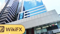 हांगकांग में SHD की यात्रा - कोई कार्यालय नहीं मिला