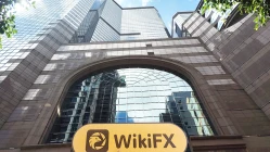 홍콩의 SD GOLD 방문 - 사무실을 찾을 수 없음