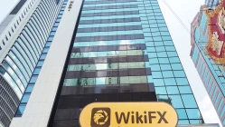 हांगकांग में Successful Investment LTD की यात्रा - कोई कार्यालय नहीं मिला