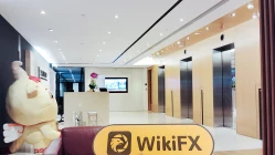 Une visite à SHKFX à Hong Kong - Aucun bureau trouvé