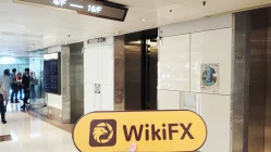 Kunjungan ke TigerWit di Hong Kong - Tidak Ditemukan Kantor