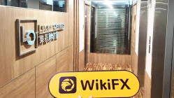 Una visita a Trends Creator Global en Hong Kong - No se encontró la oficina