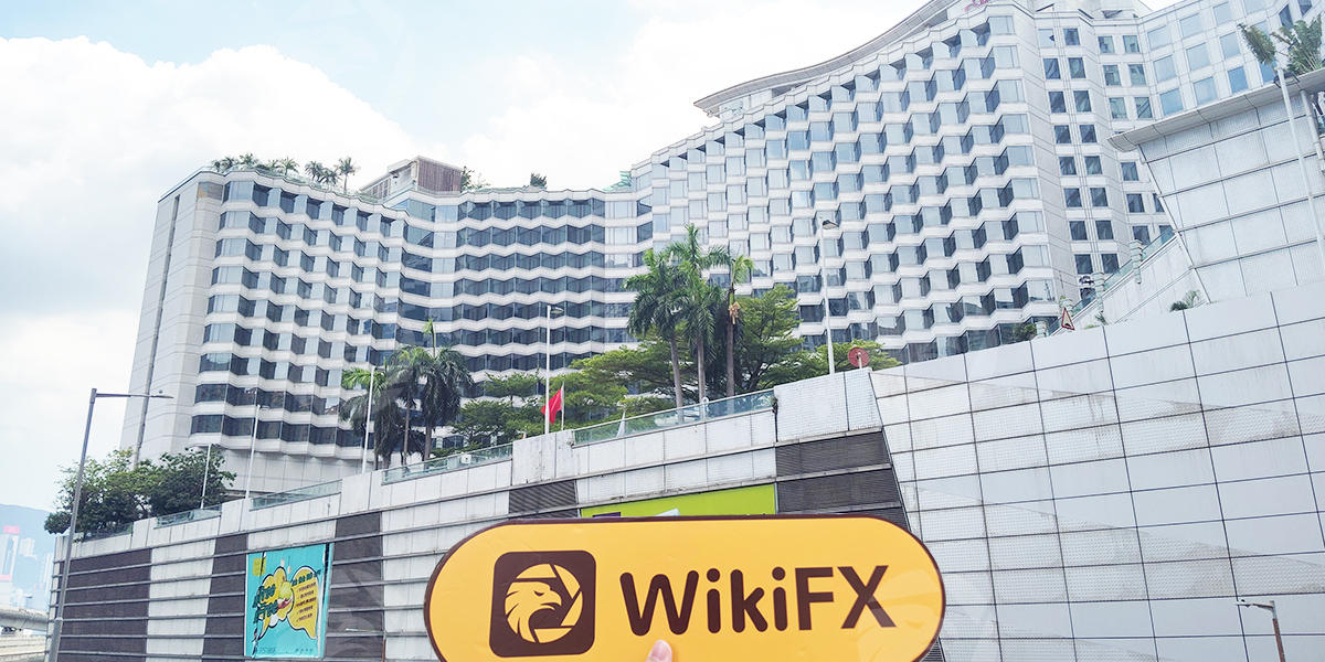 C:\Users\WikiGlobal\Desktop\2955364843-PROFIT 普罗汇-0728\1.jpg