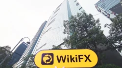 Посещение Wealth Gold Group в Гонконге – Офис не найден