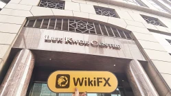 中国香港实地探访交易商 Delta Asia Securities Limited 汇业存在真实展业场所