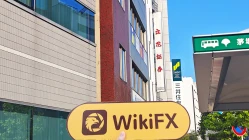 زيارة إلى Tachibana في اليابان - تم العثور على المكتب