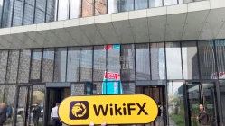 Посещение DEMIS в России – Офис не найден