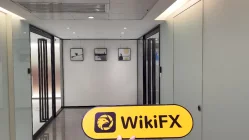 हांगकांग में ESL की यात्रा - कोई कार्यालय नहीं मिला