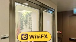 Una visita a BLUEMOUNT a Hong Kong - Ufficio Trovato