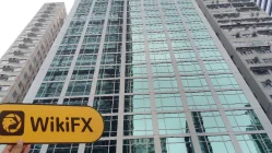 Không Tìm Thấy Văn Phòng Khi Ghé Thăm T.M.Mangement tại Hồng Kông