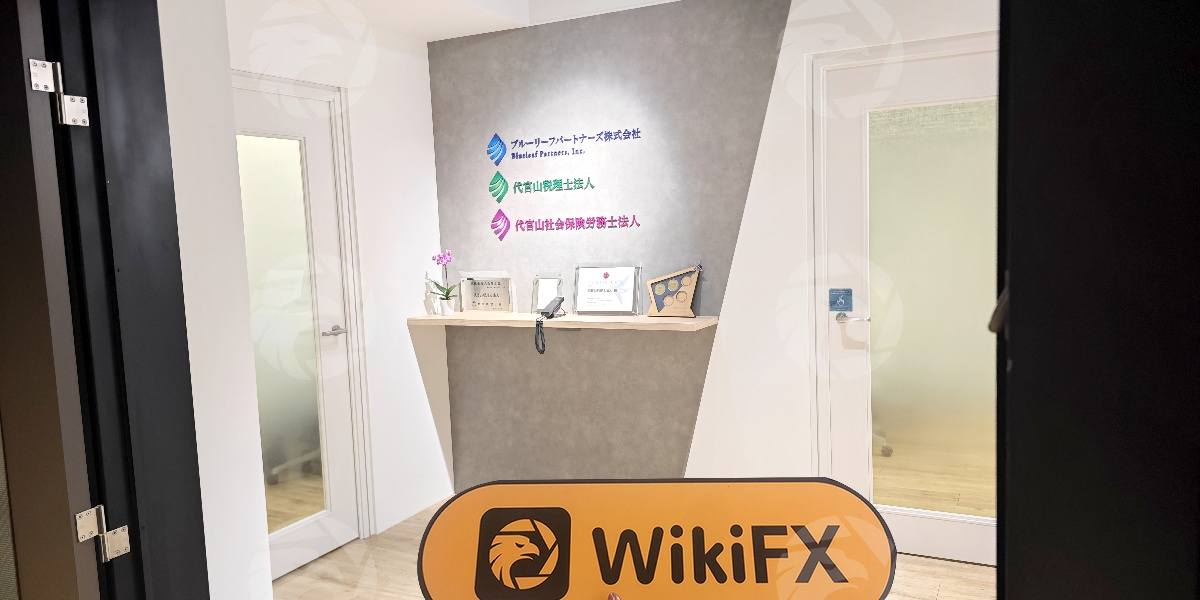 C:\Users\WikiGlobal\Desktop\照片\processed_1754897834_6e21f15f_img5_v2.jpg
