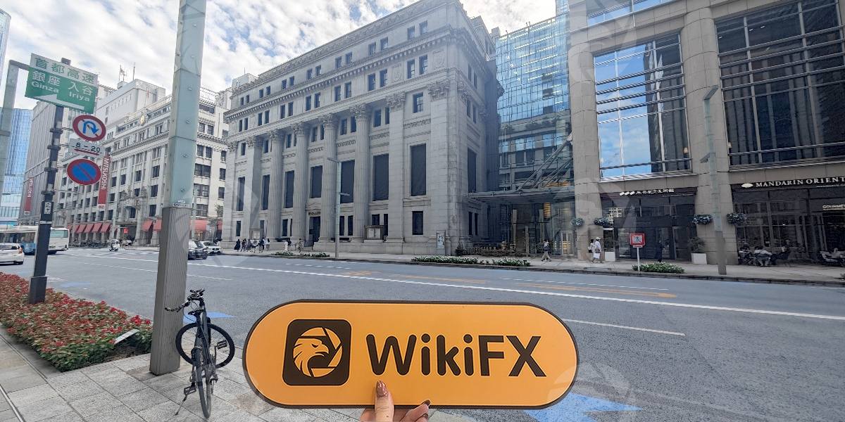 processed_1754976598_7918e311_img2_v2.jpg