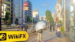 日本实地探访交易商 Maliksi Ltd 不存在真实展业场所