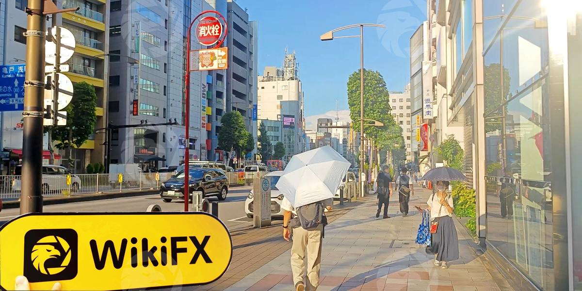 D:\0-1實勘上新、反饋\實勘文章\3655541163-Maliksi Ltd\processed_1754907188_4c59f938_img2_v1.jpg