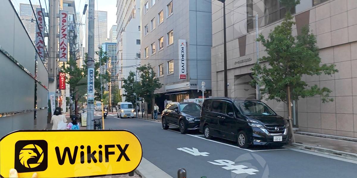 D:\0-1實勘上新、反饋\實勘文章\3655541163-Maliksi Ltd\processed_1754907188_4c59f938_img4_v1.jpg