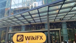 Посещение Lavro Group в России – Офис не найден