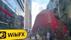 Посещение Lavro Group в России – Офис не найден