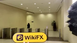 रूस में IVA Partners की यात्रा - कार्यालय मिला