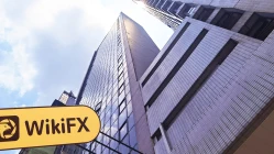 A Visit to MFUBO in Hong Kong – No Office Found