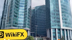 Посещение PearlFX в России – Офис не найден