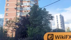 Посещение КЕНКО в России – Офис не найден