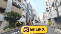 A Visit to Xinke Limited in Japan – No Office Found