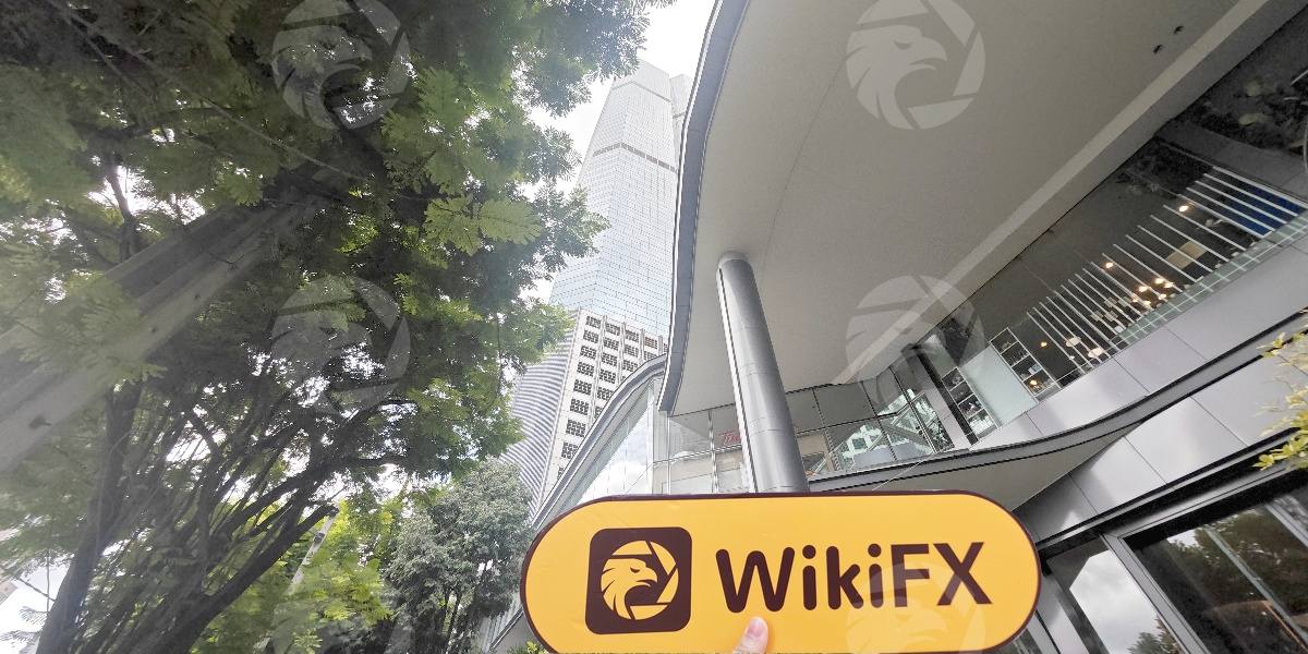 D:\0-1实勘上新、反馈\实勘文章\7029503162-FAX TRADE\processed_1756451567_55ca1944_img3_v2.jpg