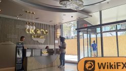 زيارة إلى VX Capital Limited في تركيا - لم يتم العثور على مكتب