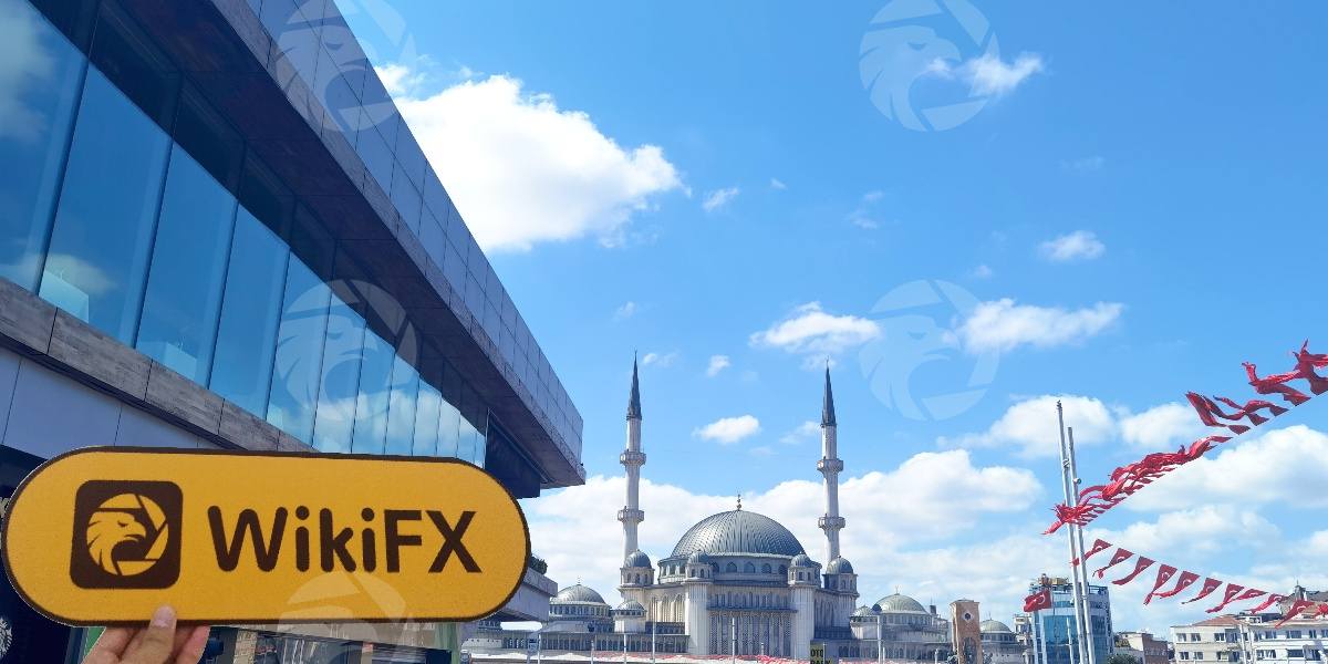 processed_1756875230_8e517f6d_img1_v1 (1).jpg