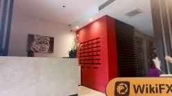 Kunjungan ke NYX di Turki - Tidak Ada Kantor Ditemukan