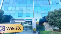 Посещение Ağabey Holding в Турции - Офис не найден