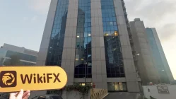 Посещение Turkish Menkul Değerler в Турции - Офис не найден