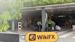 Посещение EASYBESTWIN в Таиланде - Офис не найден