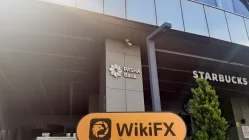 Türkiye'de PASHA Bank Ziyareti – Ofis Bulundu