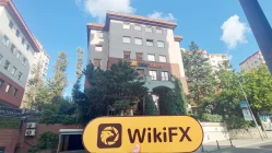 Визит в VAKIF YATIRIM в Турции – Офис найден