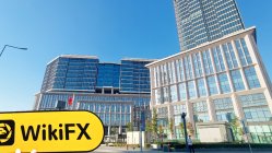 土耳其实地探访外汇交易商Foxi 不存在真实展业场所